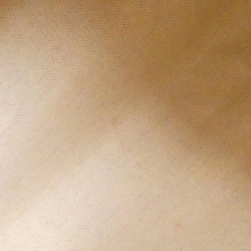 Túi đeo vai Loewe Anton 610016