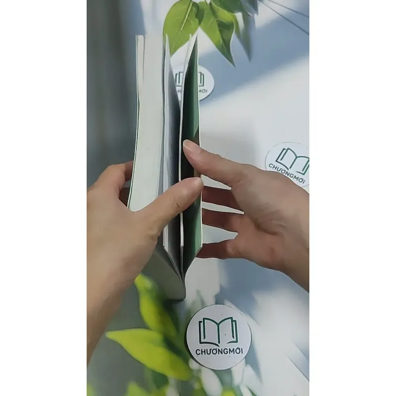 Cô đơn vào đời - Dịch Phấn Hàn 694970