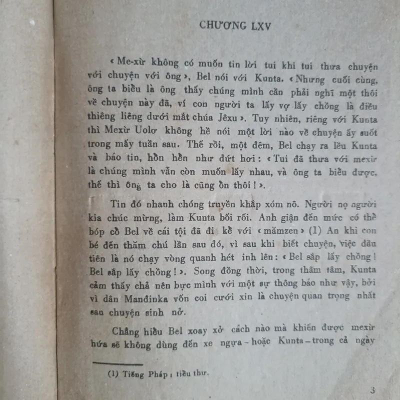 Cội rễ 🌻🌻🌻 575463