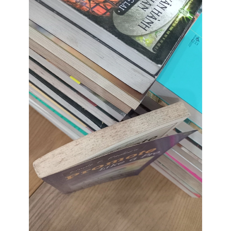 Promote like a pro - Linda F. Radke 698895