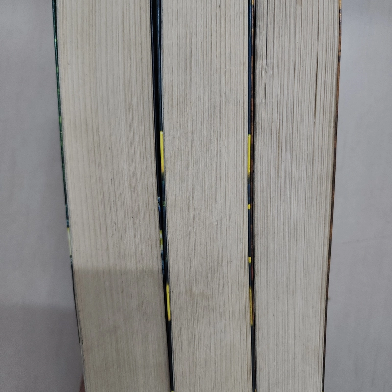 Combo 3 quyển truyện Septimus Heap gồm Pháp thuật, Khinh công và Y thuật 509391