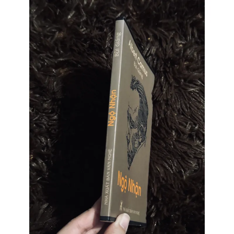 Ngộ nhận (Bùi Giáng dịch) 738122