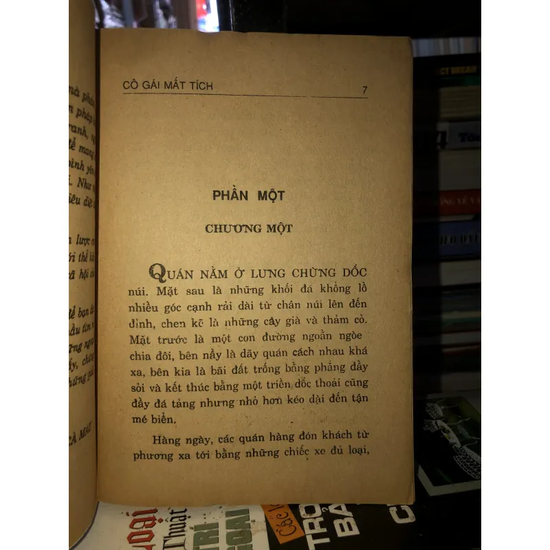 Cô gái mất tích - Đam San - Kim Anh 788933