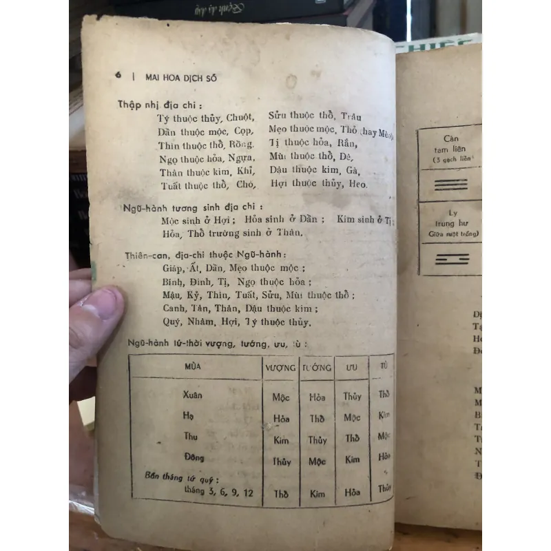Mai hoa dịch số 1040315