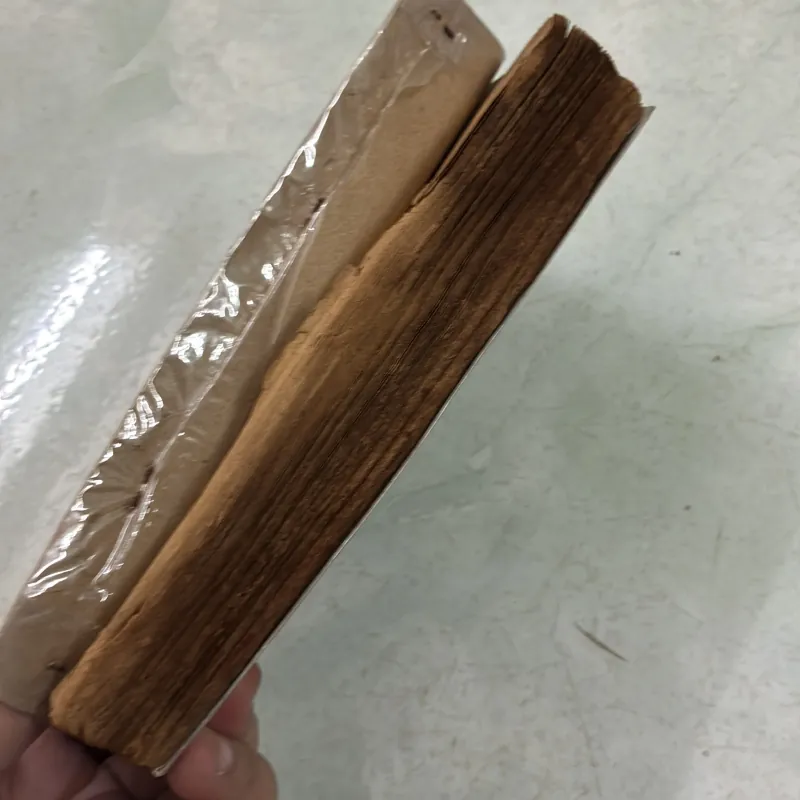 Đầu lâu lão triệu phú 1031025