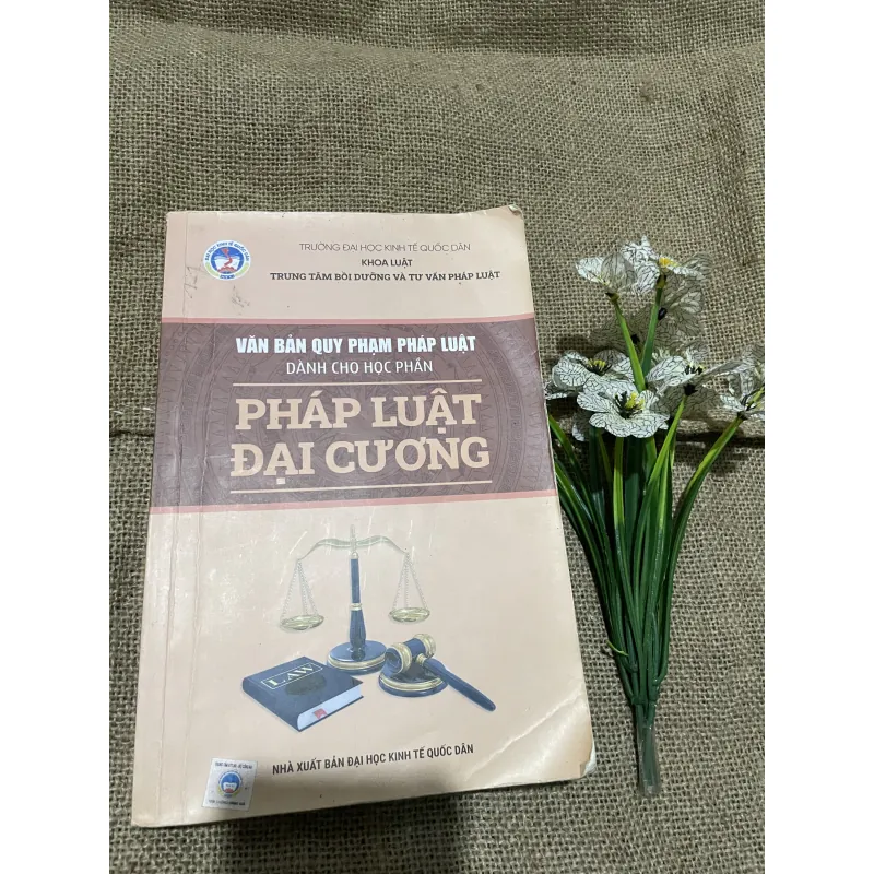VĂN BẢN QUY PHẠM PHÁP LUẬT DÀNH CHO HỌC PHẦN PHÁP LUẬT ĐẠI CƯƠNG, hơn 300 trang  797718