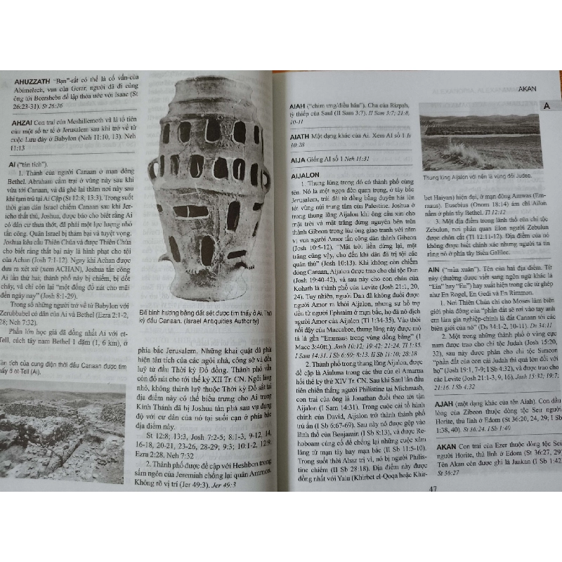 Từ điển Kinh thánh - Xb 2013 - 1137 trang - Bìa cứng - Kt 16 x 22 - TÂM LINH - TÔN GIÁO - THIỀN - ANTQ2911-83 712627