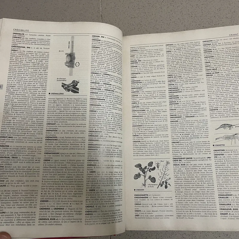 Từ điển Larousse (Pháp)  675184