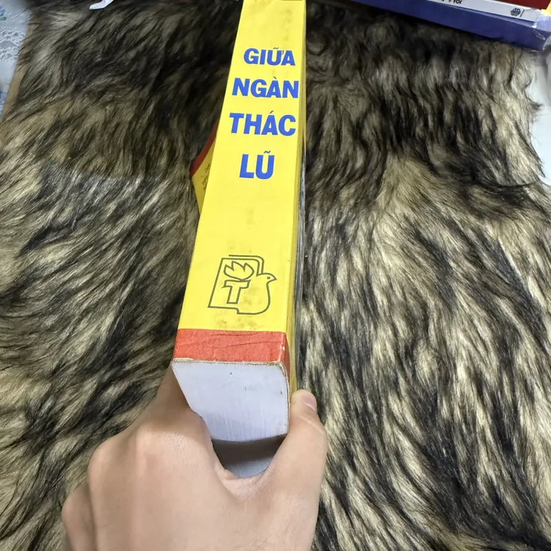 Giữa ngàn thác lũ  599787