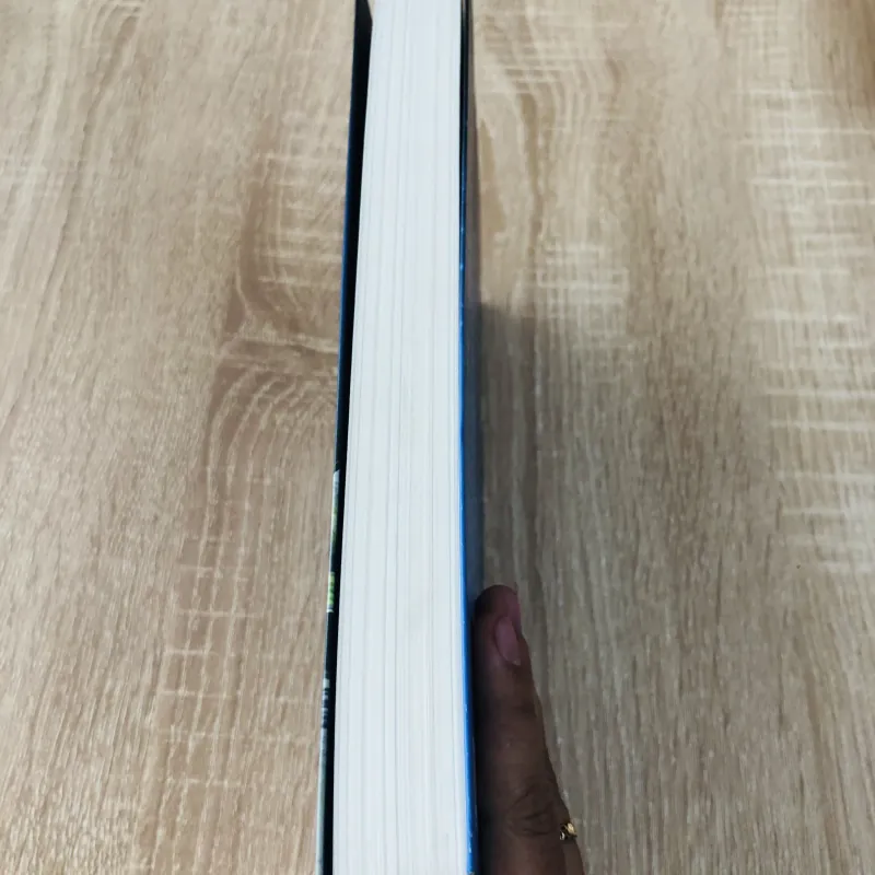 KHỞI NGHIỆP LÃNG MẠN VÀ THỰC TẾ 996151