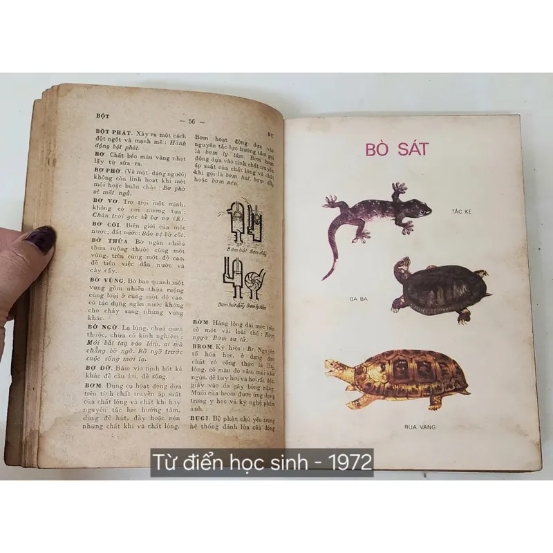 TỪ ĐIỂN HỌC SINH 1972 - tranh in màu 702742