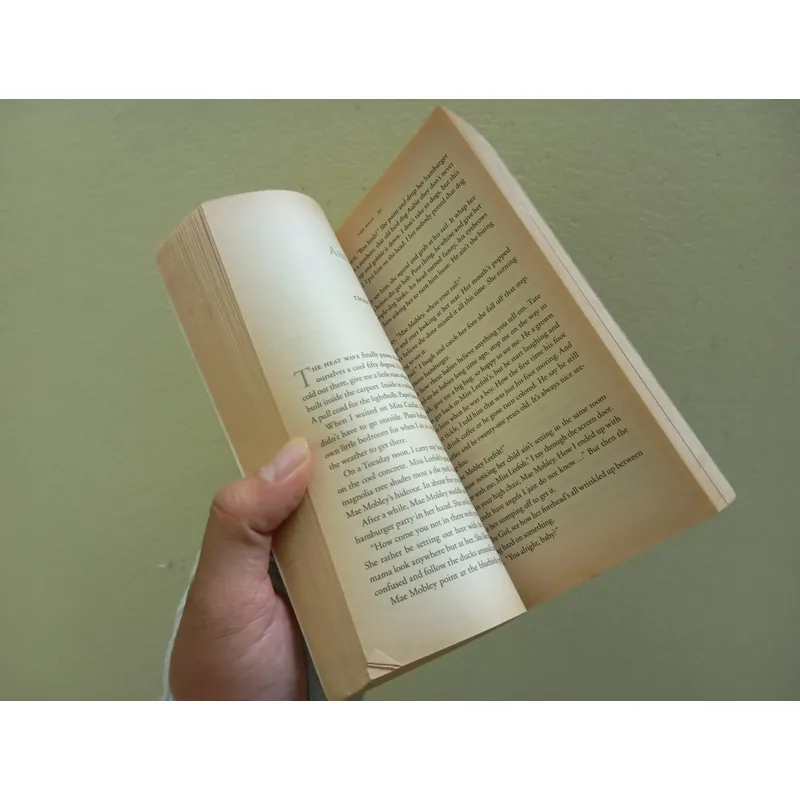 The help, sách ngoại văn tiếng Anh, english book tiểu thuyết  695812