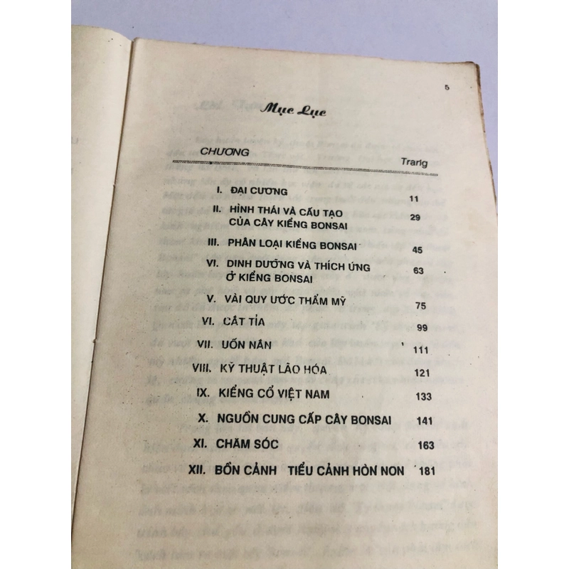 KỸ THUẬT BONSSAI 524650
