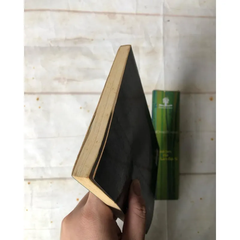 Trái Tim Của Trúc Lâm Đại Sĩ - Thích Nhất Hạnh 759073