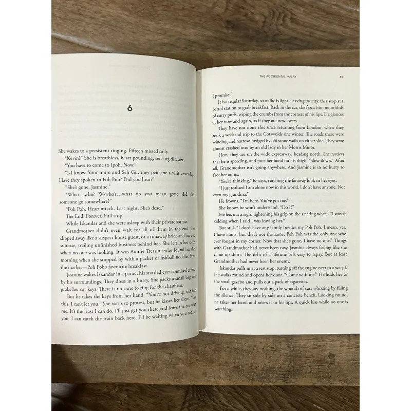 The Accidental Malay - Karina Robles Bahrin 752885