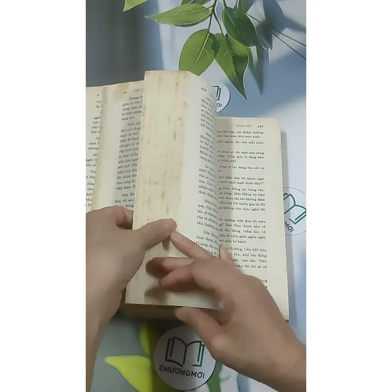 Hãy chờ em đánh răng xong nhé - Hồng Cửu 688614