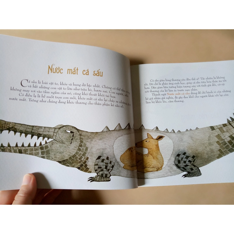 Chuyện kể thành ngữ 539234