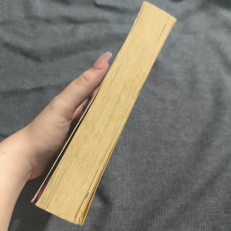 Hetty Feather - Jacqueline Wilson  1010580