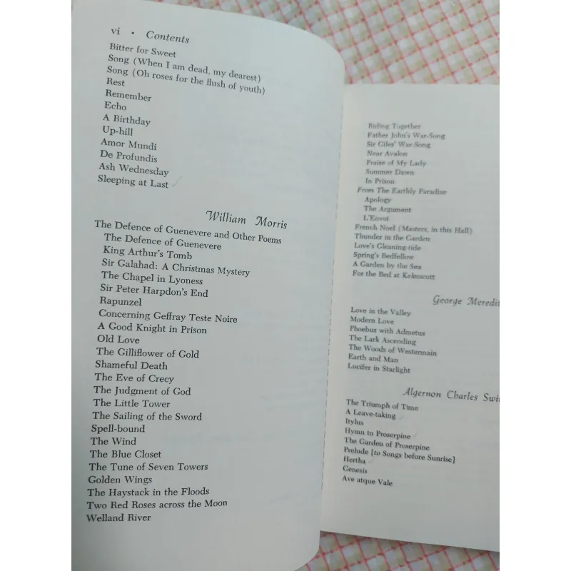 THE PRE-RAPHAELITES AND THEIR CIRCLE - Cecil Y. Lang 961648