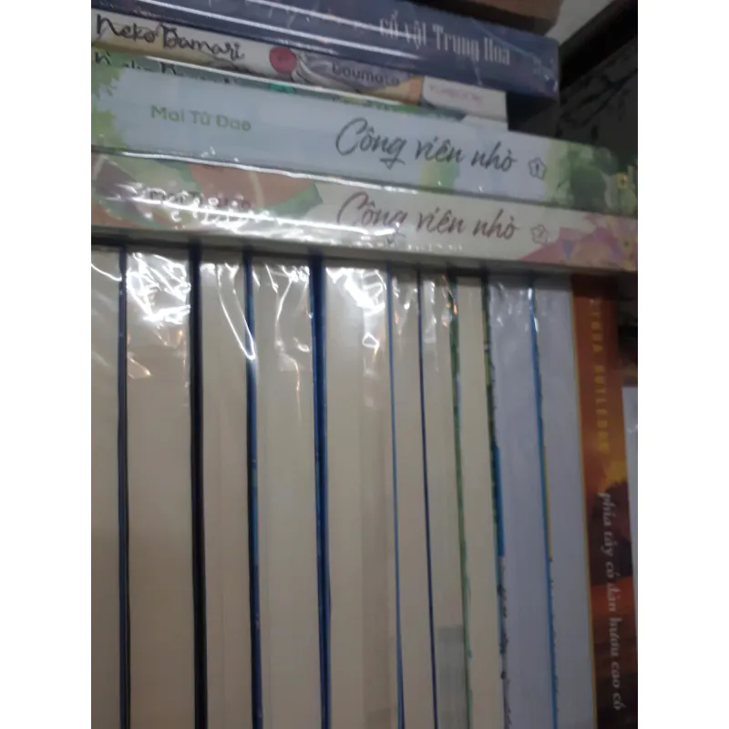 Blindbox sách 1031029