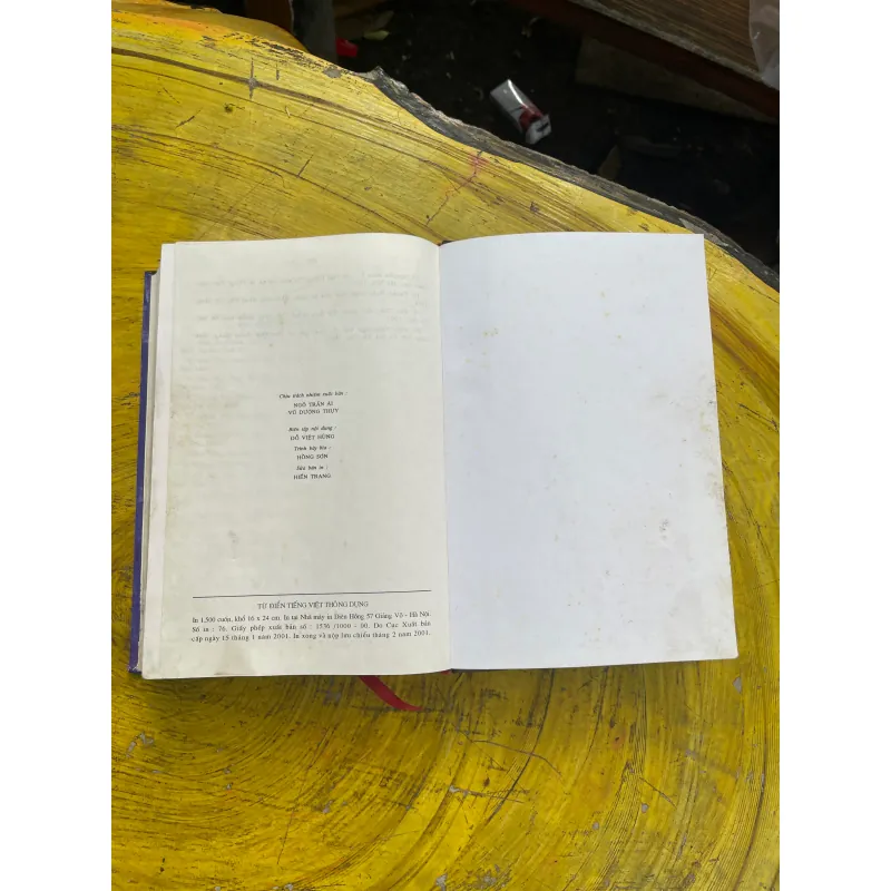 TỪ ĐIỂN TIẾNG VIỆT THÔNG DỤNG- NGUYỄN NHƯ Ý CHỦ BIÊN 730987