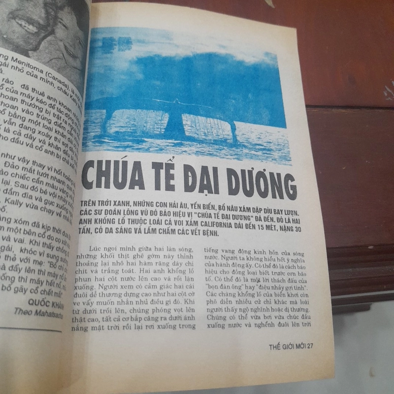 Bán nguyệt san THẾ GIỚI MỚI số 56 năm 1993 505517