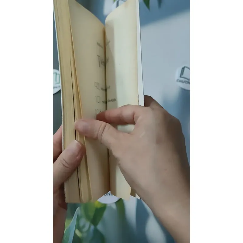 Tâm Sáng Dung Mạo Sáng - Thích Giác Hiếu 928541