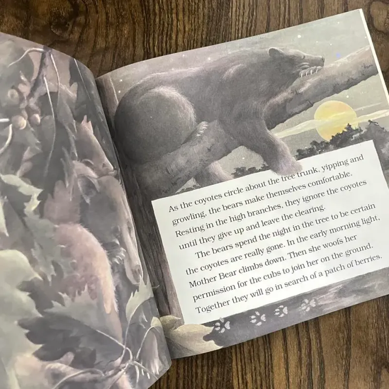 Black Bear Cub 974762