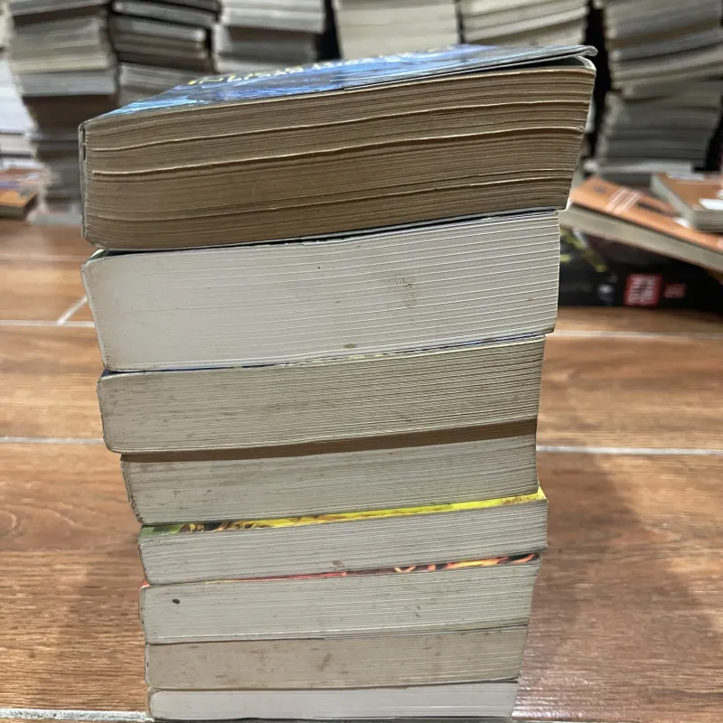 Cậu bé cưỡi rồng full 4 phần tổng 8 tập  477917