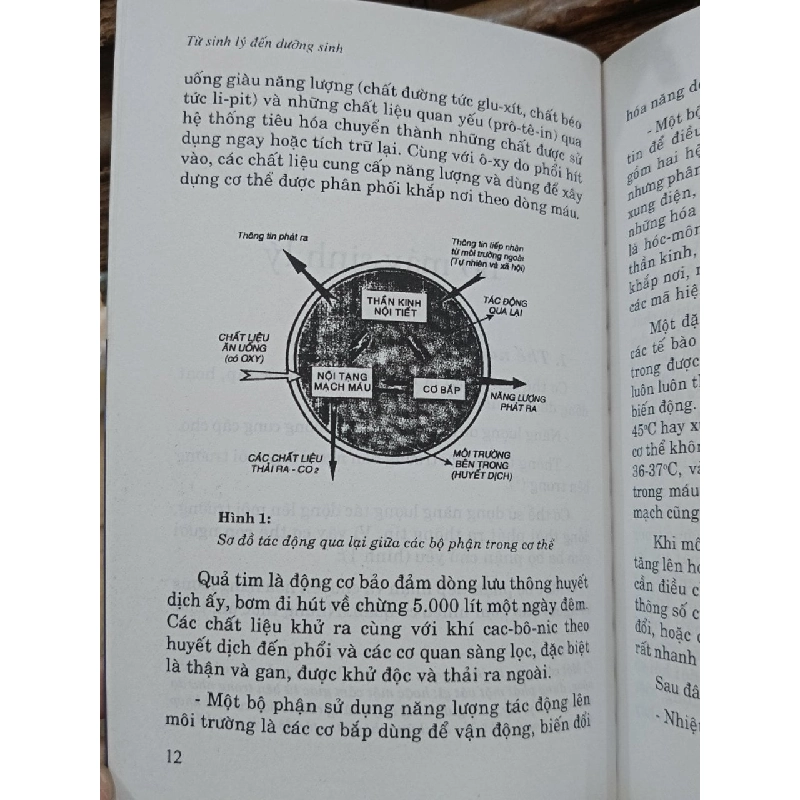 Từ sinh lý đến dưỡng sinh - BS. Nguyễn Khắc Viện 998336
