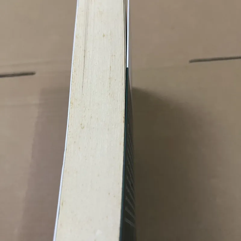 Sức mạnh của hiện tại 1008443