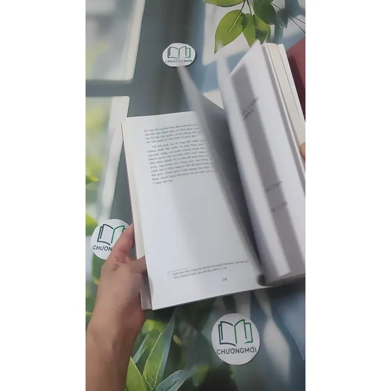 [MIỄN PHÍ BỌC SÁCH] Chính Phủ Cách Mạng Lâm Thời Cộng Hòa Miền Nam Việt Nam - Nguyễn Đình Thống 1018898