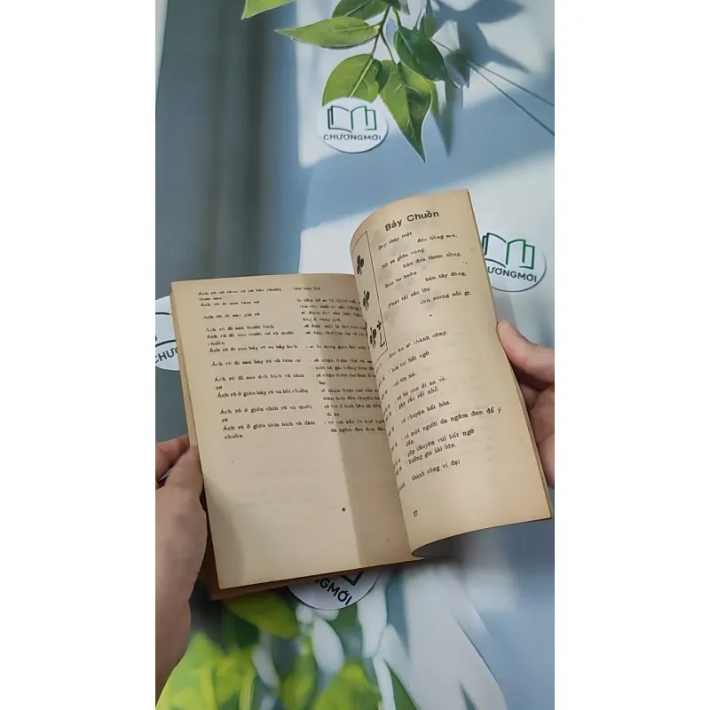 [XƯA] Bói Bài - Xem Sự Thành Bại Trên Đường Đời (1970) - Huỳnh Liên Tử 775994