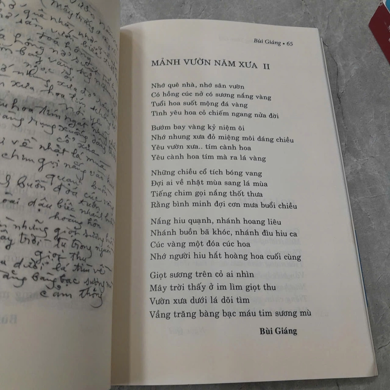 TÌNH THƯƠNG THEO GIÓ - BÙI GIÁNG 533267