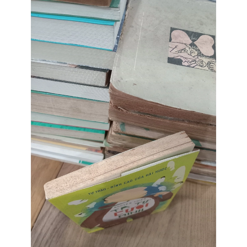 Ta tự cười mình - Nguyễn Thiện 928436