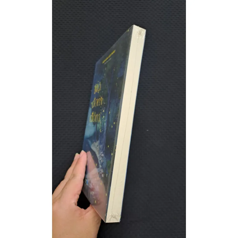 Mộ Đom Đóm - Nosaka Akiyuki 596837