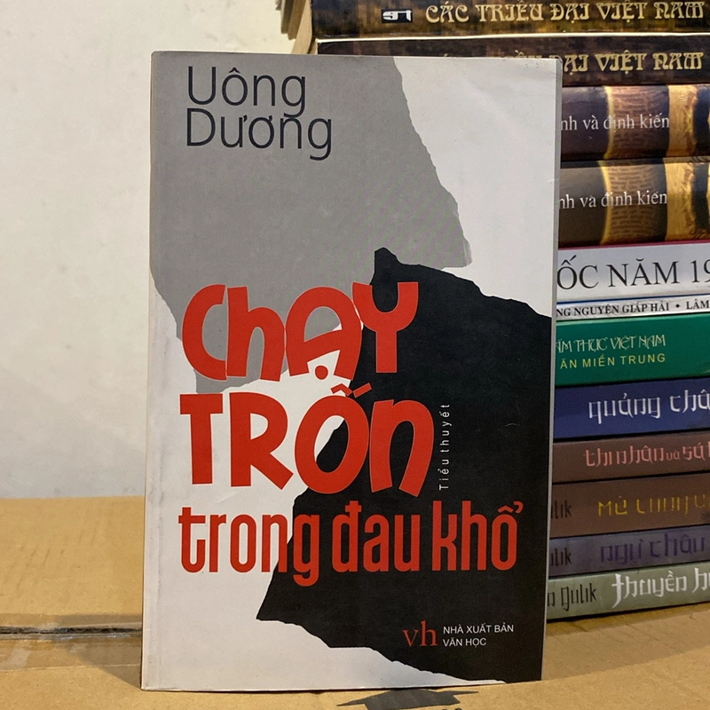 CHẠY TRỐN TRONG ĐAU KHỔ (XB 2009) 521626