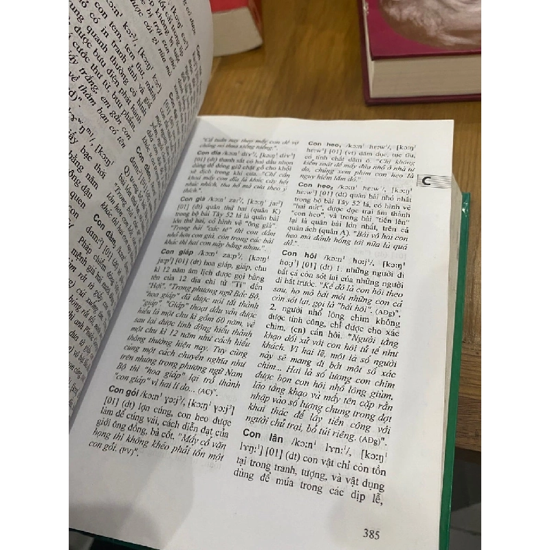 Từ điển từ ngữ Nam Bộ - Huỳnh Công Tín biên soạn 186836