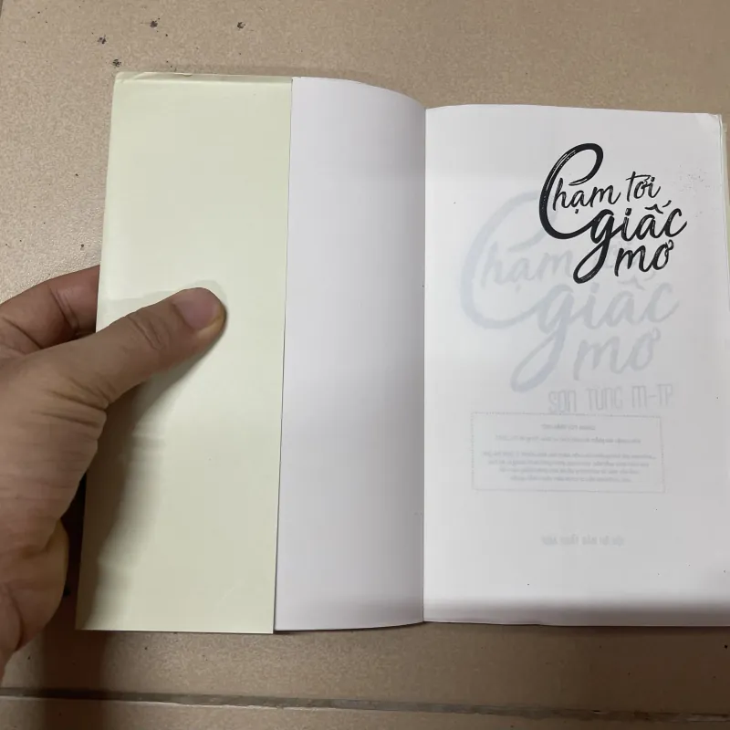 Chạm tới giấc mơ Sơn Tùng M-TP (c) 1008230