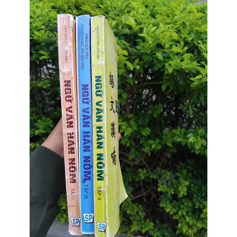 Ngữ văn Hán Nôm do Đặng Đức Siêu chủ biên 970756