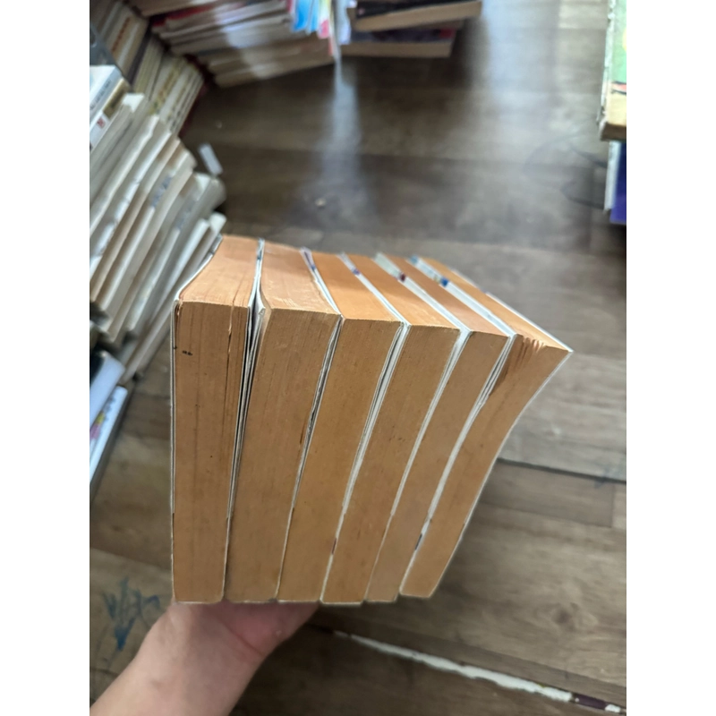Đạo           528533