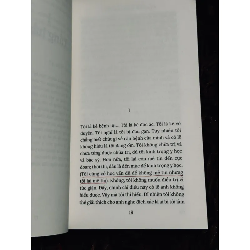 Bút ký từ tầng hầm (bìa cứng) 1003156