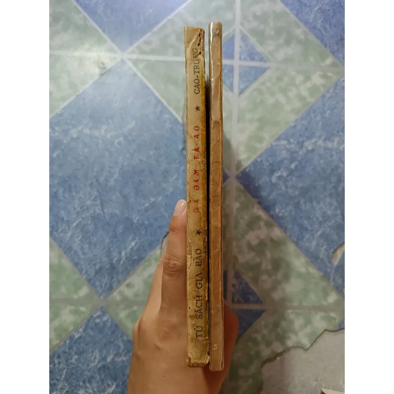 Dã Đàm Tả Ao + Địa Lý Tả Ao - Cao Trung 1000203