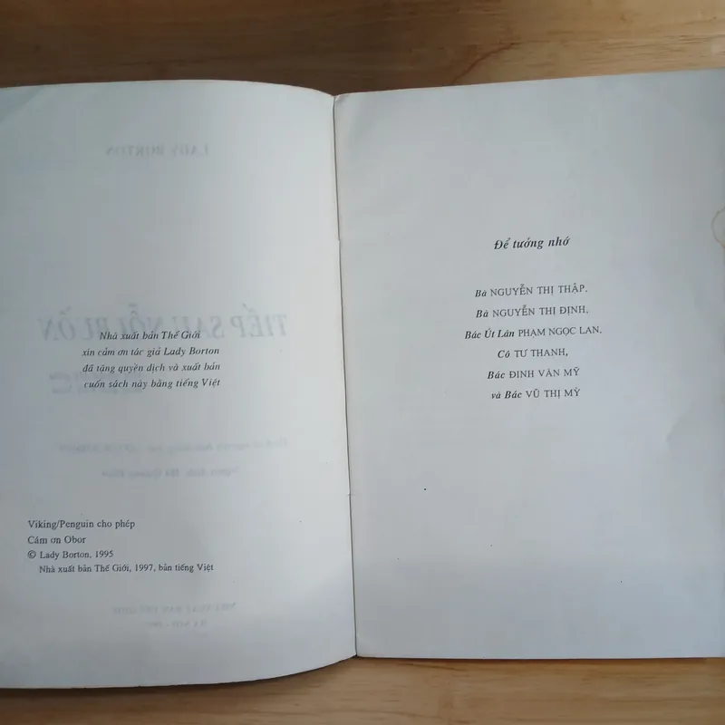 Tiếp Sau Nỗi Buồn (Một Người Mỹ Giữa Làng Quê Việt Nam) - Lady Borton 736948