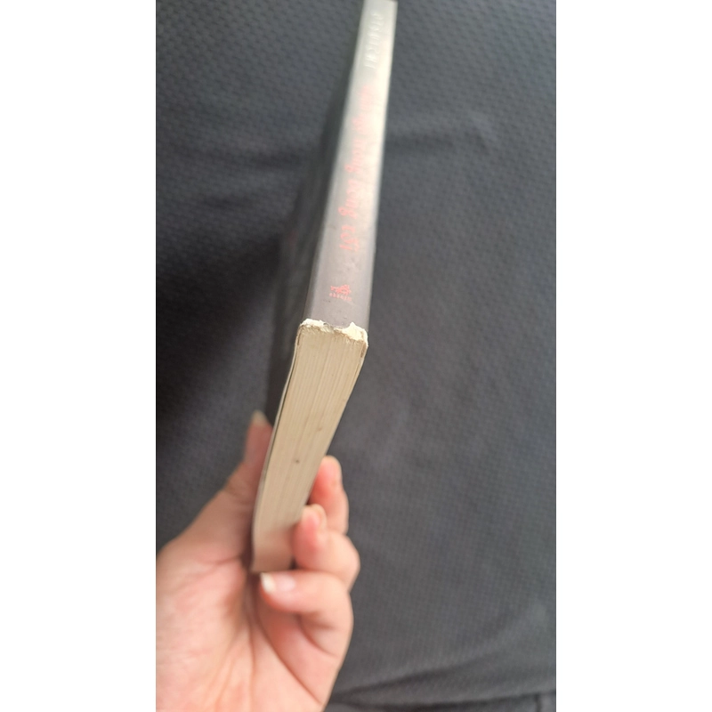 Hạnh ngộ trong bóng tối - Otsuchi 461367