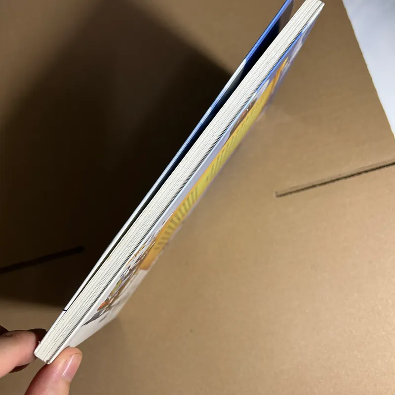 Chuyện con mèo dạy hải âu bay 733432