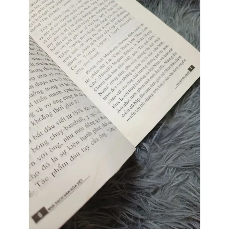 Ngày đẹp trời để xem Kangaroo (Murakami) 932850