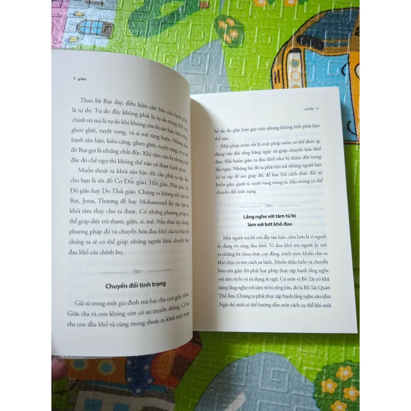 Giận -Thiền sư Thích Nhất Hạnh 779234