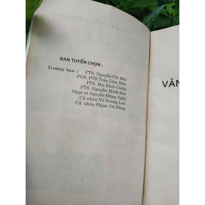 Văn hóa nghệ thuật Nam Bộ  995544