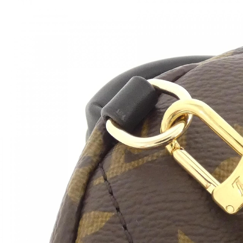 Ba lô Louis Vuitton Monogram Palm Springs MINI M41562 611635